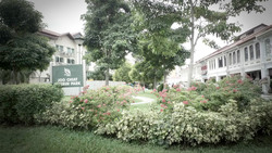 Everitt Edge (D15), Apartment #208650411